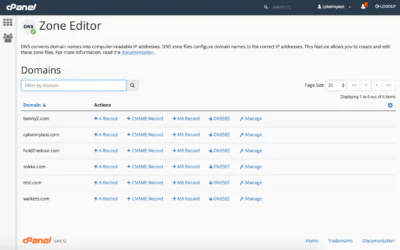 Advanced DNS Settings: Mastering cPanel Configuration