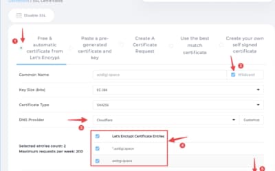 Automated SSL Renewals with Let’s Encrypt in DirectAdmin