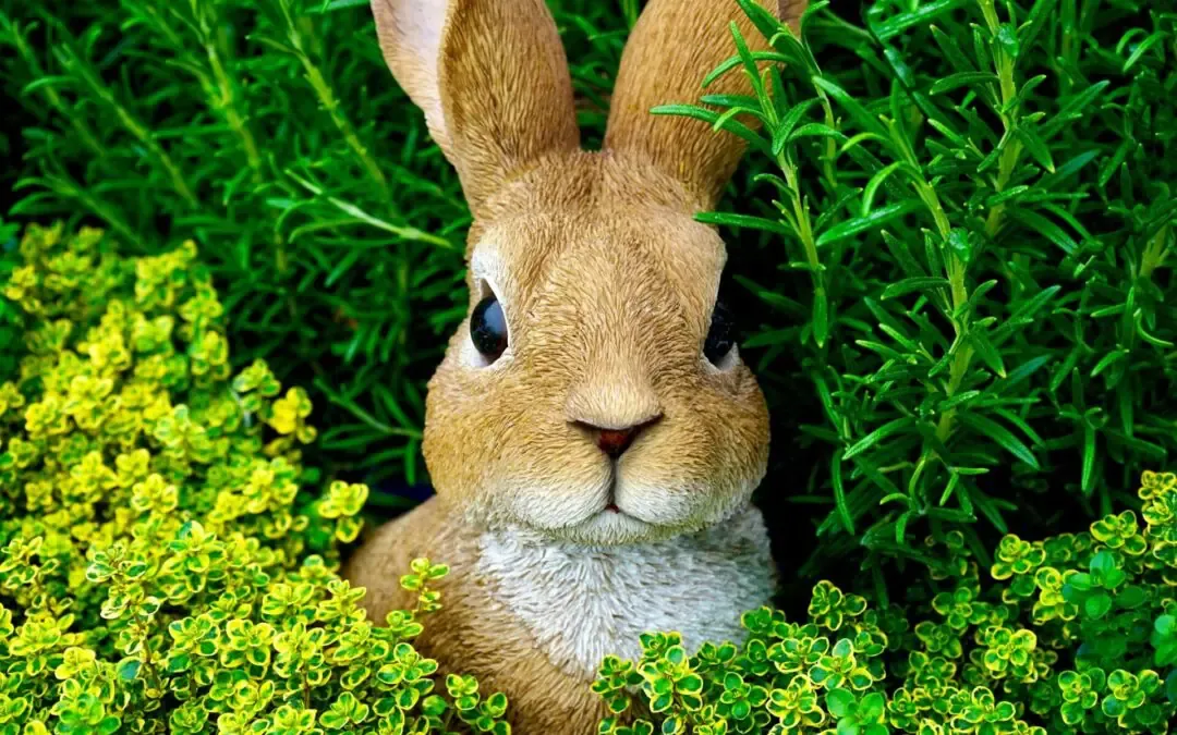 Configuring BunnyCDN Pull Zones: A Deep Dive into Configuration Options