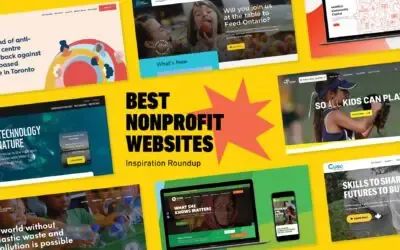 cPanel and Nonprofit Websites: Best Practices for Organizations