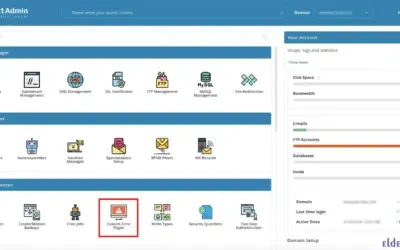 Custom Error Pages in DirectAdmin: Personalizing User Experience