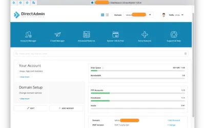 Database Management in DirectAdmin: MySQL Made Easy