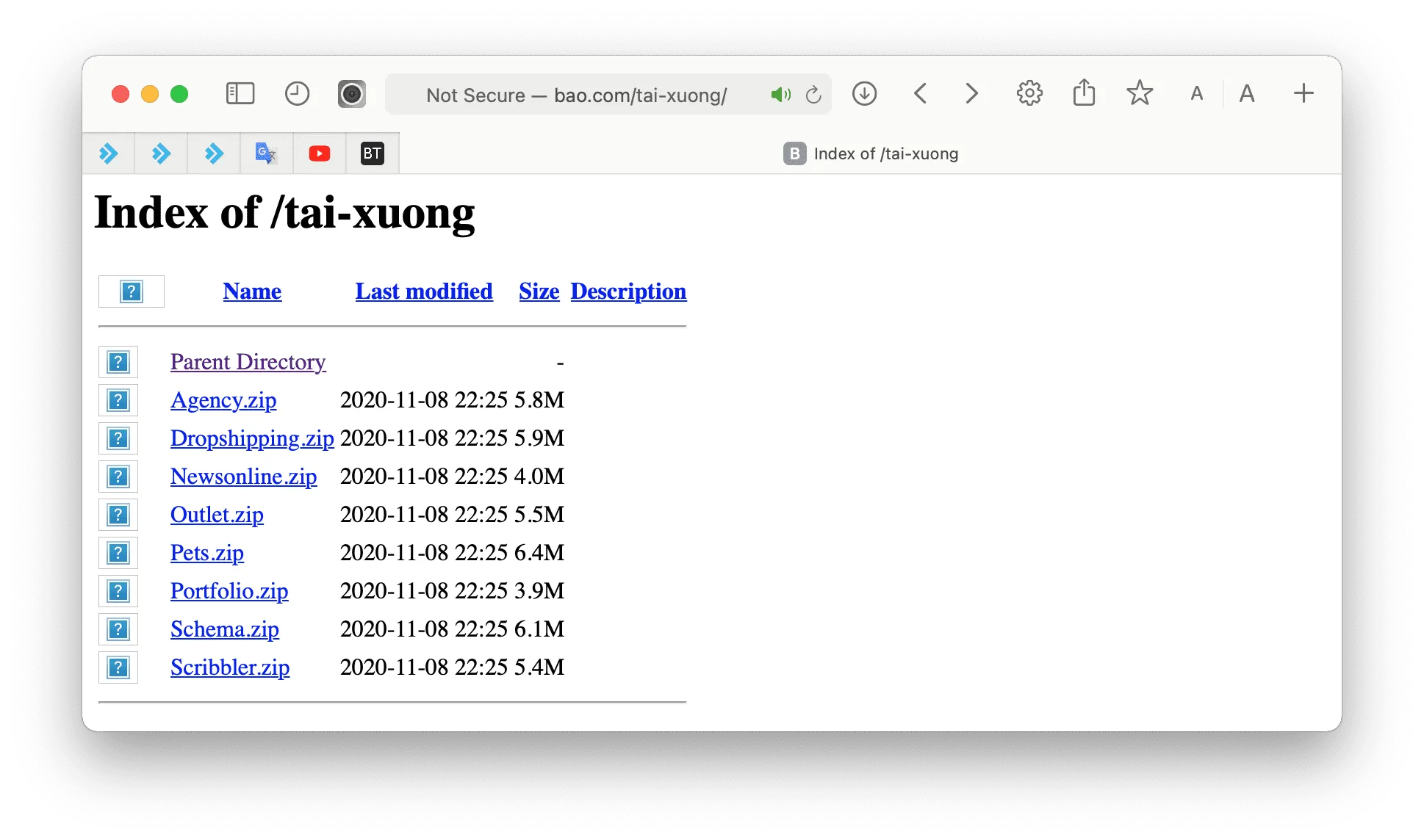 directadmin-and-portfolio-websites-showcasing-your-work