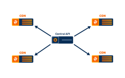 Fine-Tuning BunnyCDN Cache Invalidation: Strategies for Efficient Updates