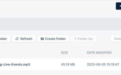 Leveraging BunnyCDN for Podcast Hosting: A How-To Guide