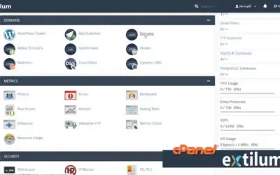 Managing Multiple Domains in cPanel: A Complete Tutorial