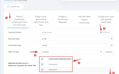 Managing SSL Certificates for Multiple Domains in DirectAdmin