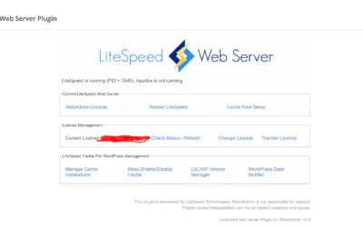 Maximizing Website Speed: Nginx Configuration in DirectAdmin