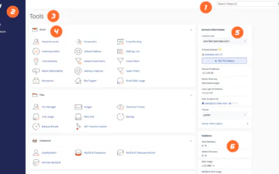 Navigating the cPanel Interface: An In-Depth Tour