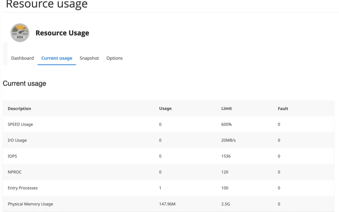 Resource Usage Statistics: Analyzing Performance in cPanel