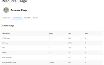 Resource Usage Statistics: Analyzing Performance in cPanel
