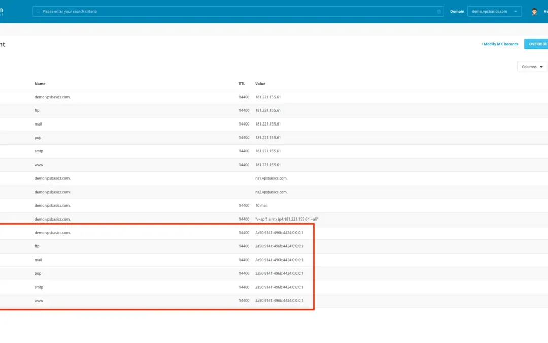 Configuring DNS Settings for Your Domain in DirectAdmin
