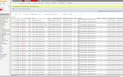 Database Management in cPanel: MySQL Made Easy
