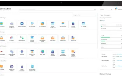 DirectAdmin and Online Courses: Hosting and Managing E-Learning