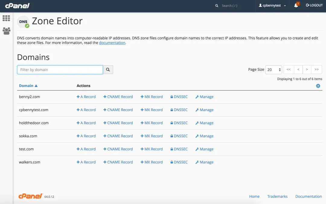 DNS Zones and Records: A Guide to cPanel Configuration