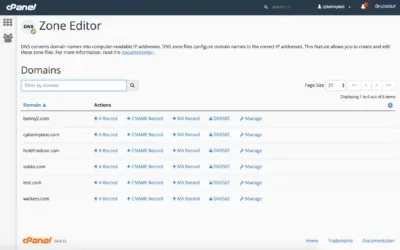DNS Zones and Records: A Guide to cPanel Configuration
