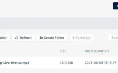 Leveraging BunnyCDN for Podcast Hosting: A How-To Guide