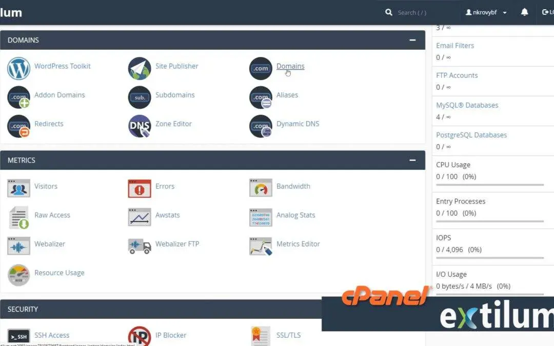 Managing Multiple Domains in cPanel: A Complete Tutorial