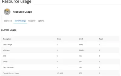 Resource Usage Statistics: Analyzing Performance in cPanel