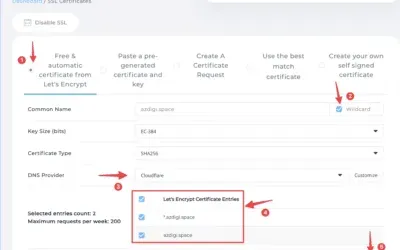 SSL Certificate Installation in DirectAdmin: A Comprehensive Guide