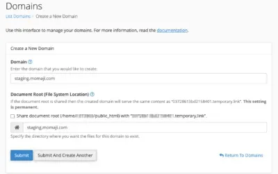 Subdomains in cPanel: Setup and Management